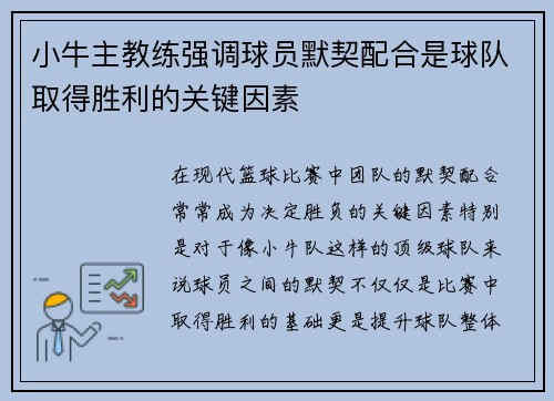 小牛主教练强调球员默契配合是球队取得胜利的关键因素